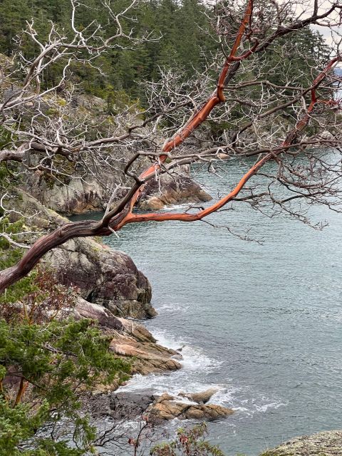 Vancouver: Lighthouse Park Hike - Tour Duration and Pricing