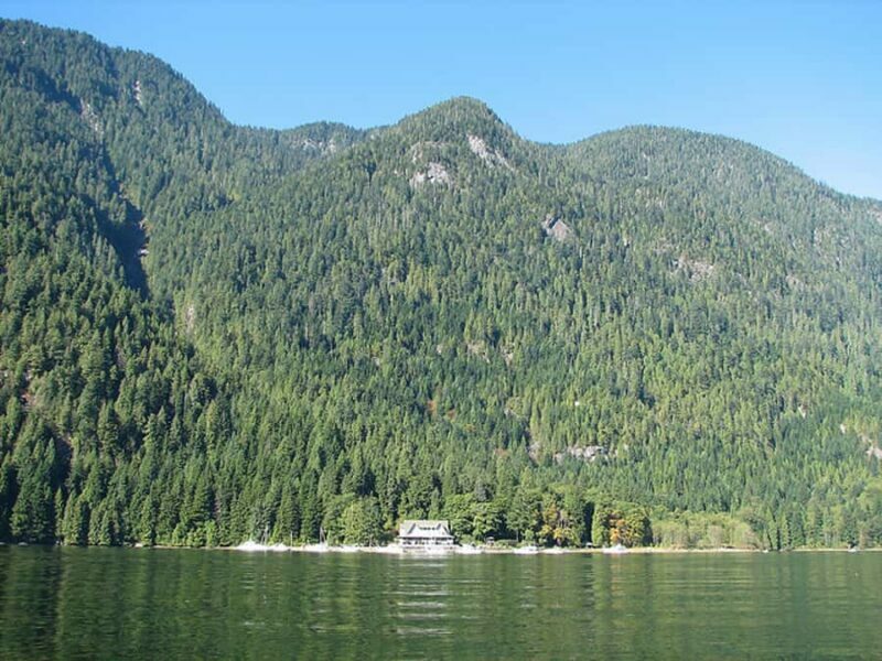 Vancouver: Lunch and Brunch Cruises - Who Will Love This Cruise?