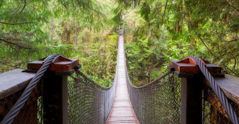 Vancouver: Lynn Valley Suspension Bridge & Nature Walk Tour - Key Points