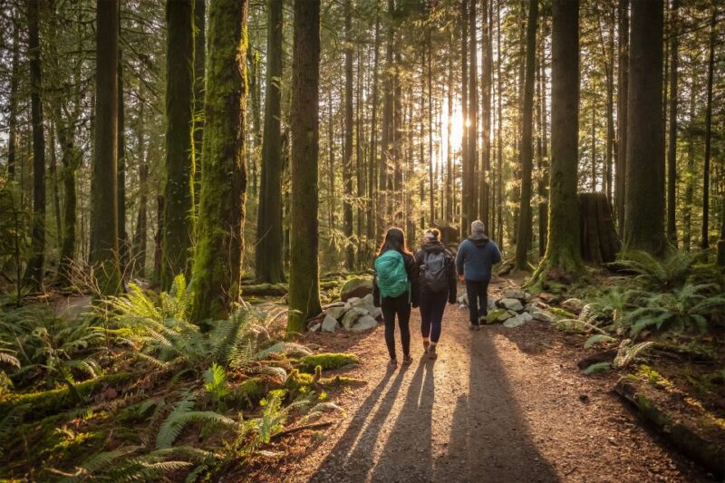 Vancouver: Lynn Valley Suspension Bridge & Nature Walk Tour - Tour Details