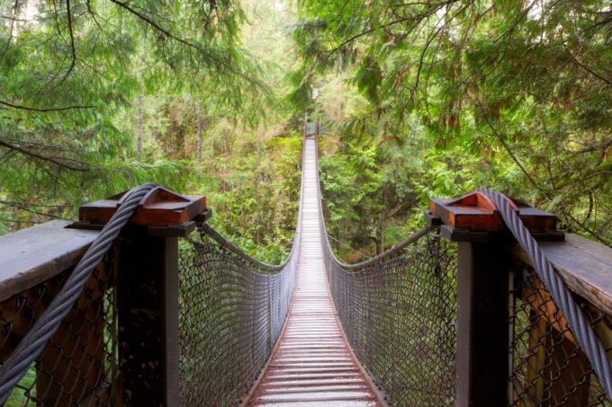 Vancouver: Lynn Valley Suspension Bridge & Nature Walk Tour - Ecology Center and Waterfalls