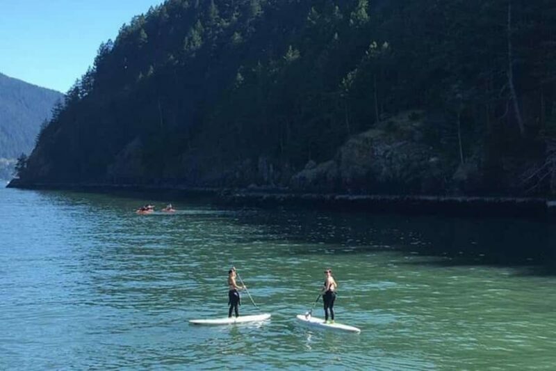 Vancouver: Morning Kayak & Seal Cruise - Vancouver: Morning Kayak & Seal Cruise — A Fresh Way to Experience British Columbias Coastal Beauty