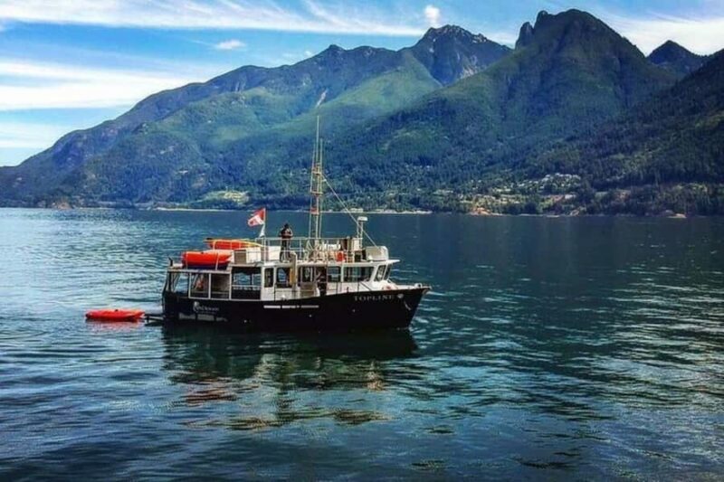 Vancouver: Morning Kayak & Seal Cruise - Why This Tour Works Well