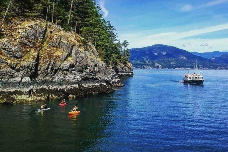 Vancouver: Morning Kayak & Seal Cruise - Who Should Consider This Tour?
