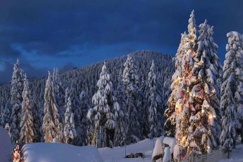 Vancouver Mountain to Mountain (Grouse,Cypress,Mount Seymour - Pricing and Booking