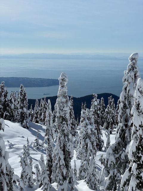 Vancouver: North Shore Mountains Snowshoeing With Transfer - Pricing and Reservation