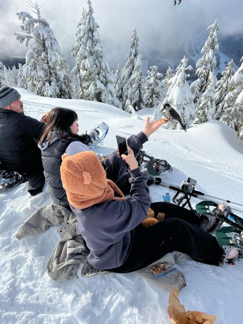 Vancouver: North Shore Mountains Snowshoeing With Transfer - Included Services