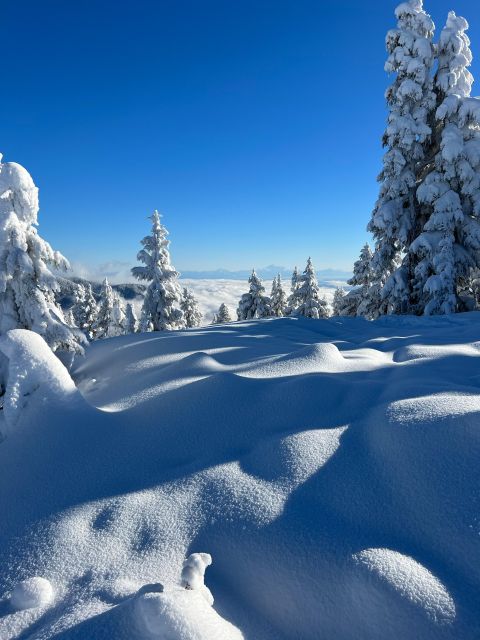 Vancouver: North Shore Mountains Snowshoeing With Transfer - Experience Highlights