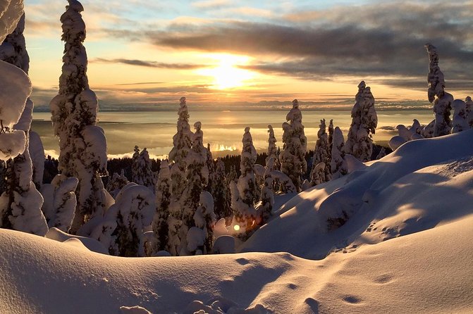 Vancouver Panoramic View Hike - Hike Logistics and Inclusions
