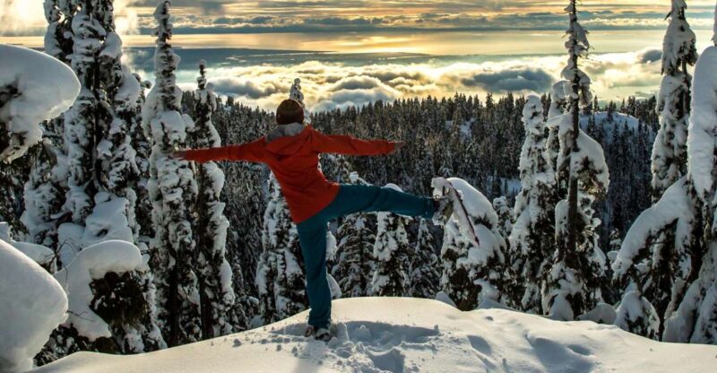 Vancouver: Panoramic View Hiking Tour - Activity Highlights