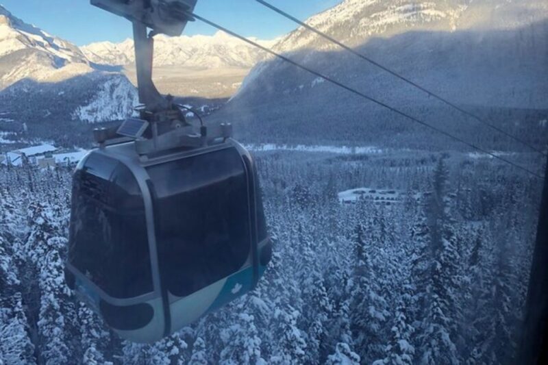 Vancouver Perfect Day Grouse Mountain&Capilano Suspension - Experience Details