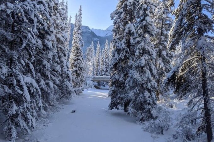 Vancouver Perfect Day Grouse Mountain&Capilano Suspension - Cultural Insights