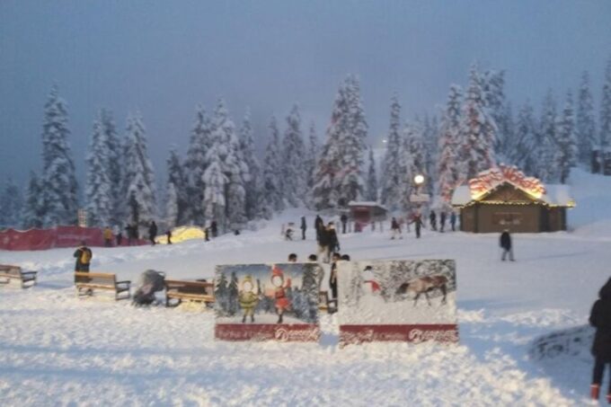 Vancouver Perfect Day Grouse Mountain&Capilano Suspension - Frequently Asked Questions