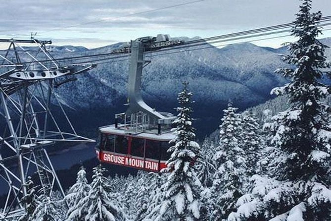 Vancouver Perfect Day Tour Grouse Mountain`& Capilano Suspention Bridge Private - Downtown Vancouver Exploration