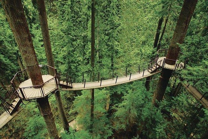 Vancouver Perfect Day Tour Grouse Mountain`& Capilano Suspention Bridge Private - Capilano Suspension Bridge