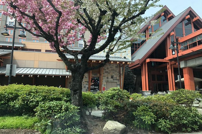 Vancouver Perfect Day Tour Grouse Mountain`& Capilano Suspention Bridge Private - Learning First Nations History