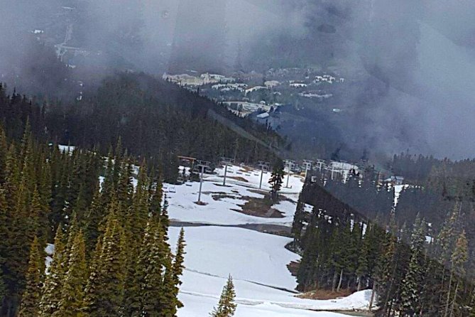 Vancouver Private Charter Tour With Experienced Local Guide - Explore Whistler