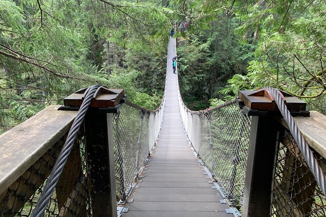 Vancouver Rainforest Hike With Waterfalls, Suspension Bridge, Old Growth Forest - Difficulty and Fitness Requirements
