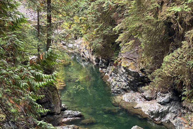 Vancouver Rainforest Hike With Waterfalls, Suspension Bridge, Old Growth Forest - Suspension Bridge Across the Rainforest