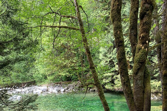 Vancouver Rainforest Hike With Waterfalls, Suspension Bridge, Old Growth Forest - Cascading Waterfalls Along the Trail