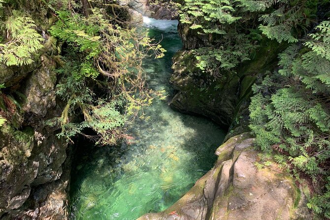 Vancouver Rainforest Hike With Waterfalls, Suspension Bridge, Old Growth Forest - Maximum Group Size and Accessibility