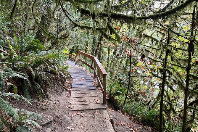 Vancouver Rainforest Hike With Waterfalls, Suspension Bridge, Old Growth Forest - Customer Reviews and Confirmation