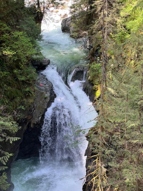 Vancouver: Rainforest Waterfall Hike and Suspension Bridge - Key Points