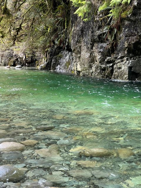 Vancouver: Rainforest Waterfall Hike and Suspension Bridge - Hike Highlights