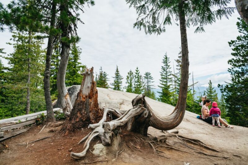 Vancouver: Sea to Sky Gondola and Whistler Day Trip - Key Points