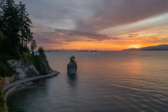 Vancouver Sightseeing and Capilano Suspension Bridge Mandarin/Eng - Sightseeing and Activities