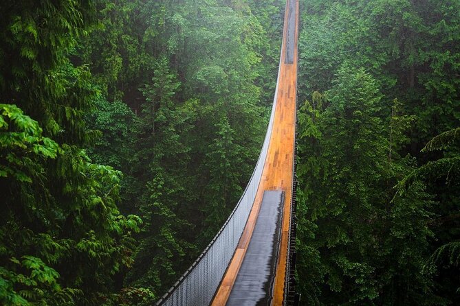 Vancouver Sightseeing and Capilano Suspension Bridge Mandarin/Eng - Transportation and Guide
