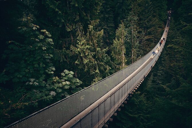 Vancouver Small Group Night Tour W/Capilano + Grouse Mtn Dinner - Capilano Suspension Bridge and Cliffwalk