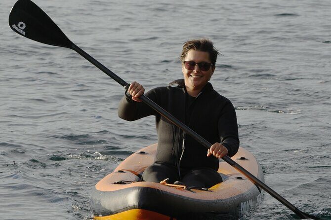 Vancouver: Snorkeling Seals Kayaking Scenic Boat Tour - An In-Depth Look at the Experience