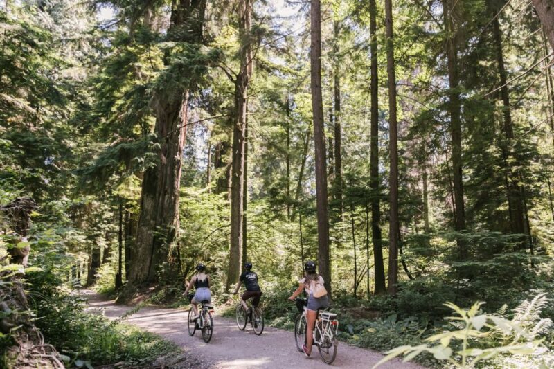 Vancouver: Stanley Park Bicycle Tour - Experience Highlights