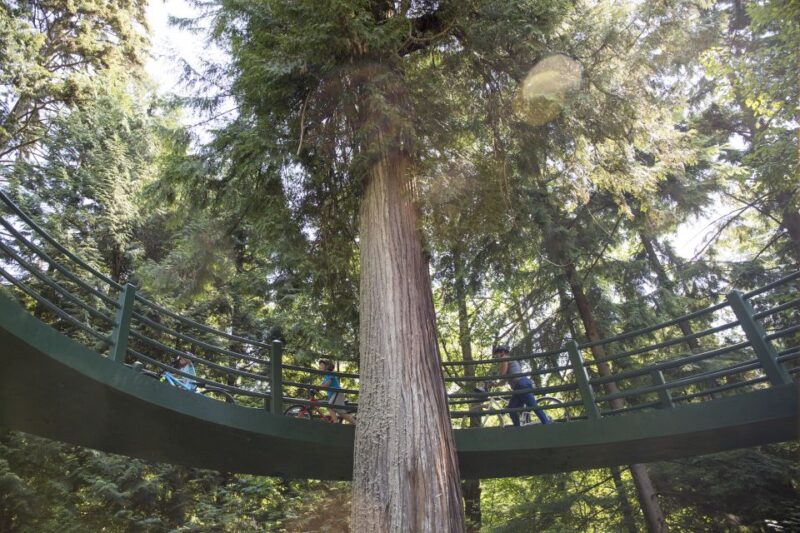 Vancouver: Stanley Park Bicycle Tour - Participant Guidelines