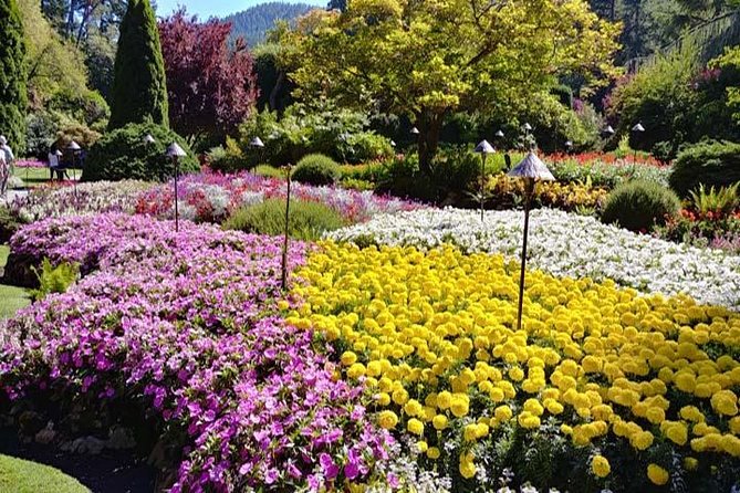 Vancouver Super Saver 3 Days City Tour With Victoria & Whistler - Pickup and Confirmation