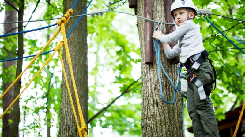 Vancouver Thrill Adventure Family Tour - Key Points