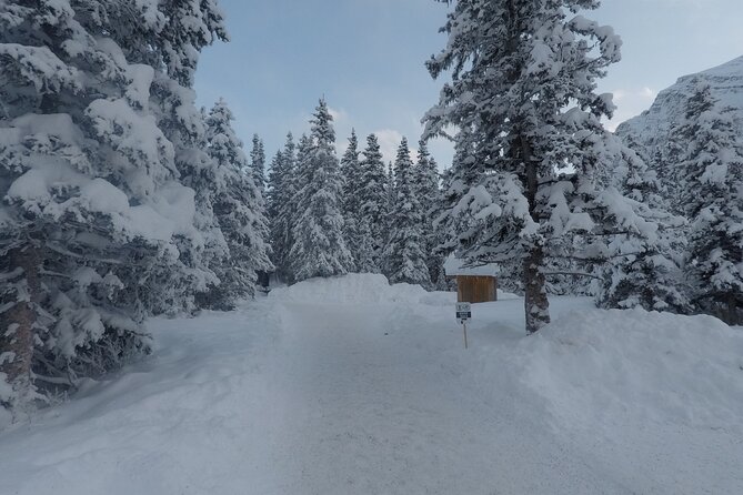 Vancouver to Banff 4 Days Rockies Lake Louise Snow Adventure Tour Private - Sulphur Mountain Hot Springs