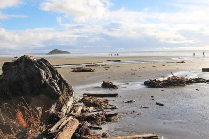 Vancouver to Tofino 2 Day Tour Private - Pricing