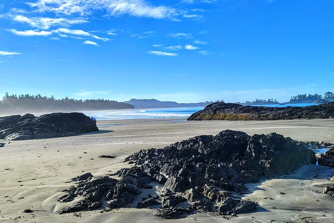 Vancouver to Tofino 2 Day Tour Private - Pricing and Guarantees
