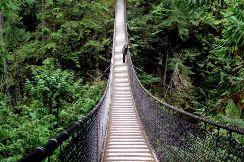Vancouver Tour Grouse Mountain & Capilano Suspension Bridge - Attractions