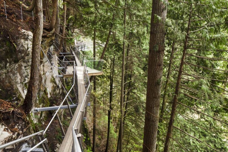 Vancouver Tour Grouse Mountain & Capilano Suspension Bridge - Experience Highlights
