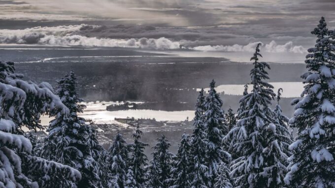 Vancouver Tour Grouse Mountain & Capilano Suspension Bridge - Culture and Heritage