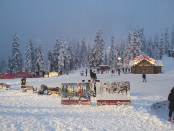 Vancouver Tour Grouse Mountain & Capilano Suspension Bridge - Wildlife Refuge Visit