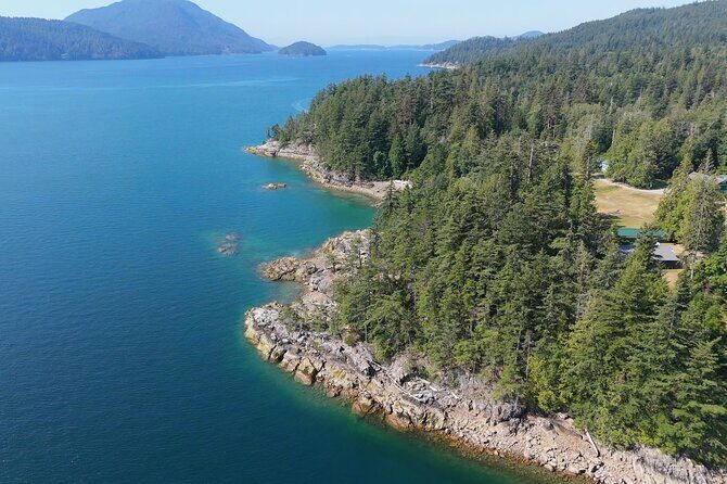 Vancouver UNESCO Biosphere Reserve Wildlife Scenic Boat Tour - Key Points