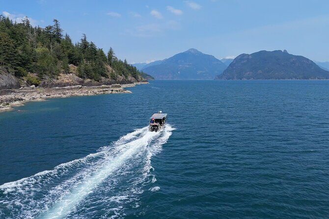 Vancouver UNESCO Biosphere Reserve Wildlife Scenic Boat Tour - Practical Tips for Your Trip