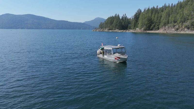 Vancouver UNESCO Biosphere Reserve Wildlife Scenic Boat Tour - The Experience in Detail