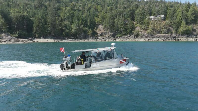 Vancouver UNESCO Biosphere Reserve Wildlife Scenic Boat Tour - Final Thoughts