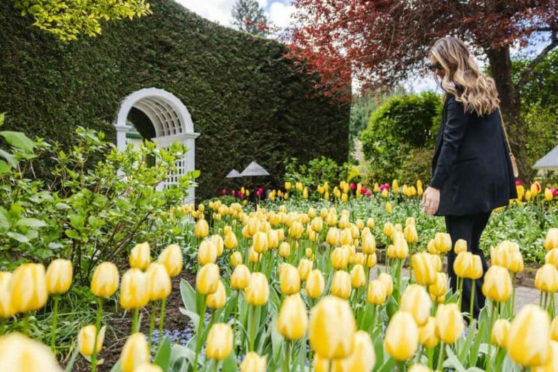 Vancouver: Victoria Day Trip by Seaplane & Butchart Gardens - The Return Journey: Scenic and Soothing