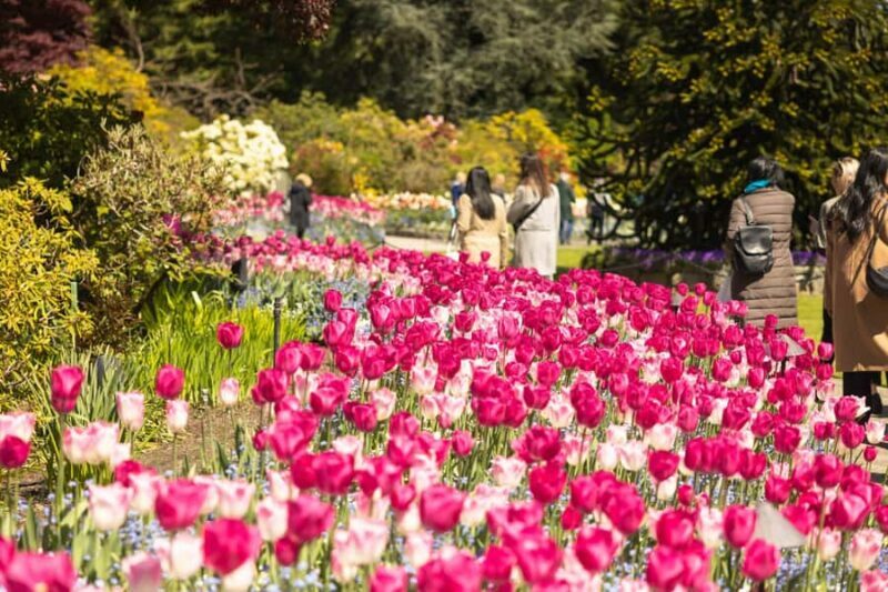 Vancouver: Victoria Day Trip by Seaplane & Butchart Gardens - Price and Value: Does It Add Up?